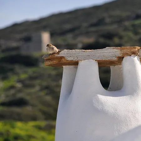 מלון Belogna Ikons Naxos 5*