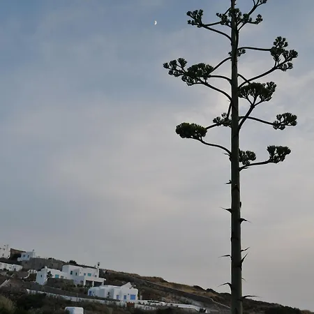 Belogna Ikons Naxos