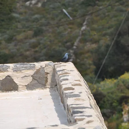 מלון Belogna Ikons Naxos 5*